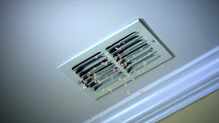 Best Affordable Duct Cleaning Services  in Paden City, WV