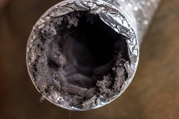 Best Affordable HVAC Duct Cleaning  in Paden City, WV