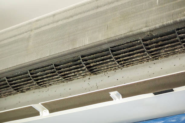 Best Air Duct Cleaning Near Me  in Paden City, WV